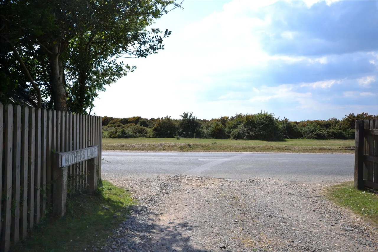 Withers Lane, East Boldre, Brockenhurst, Hampshire, SO42 7WX, photo 5