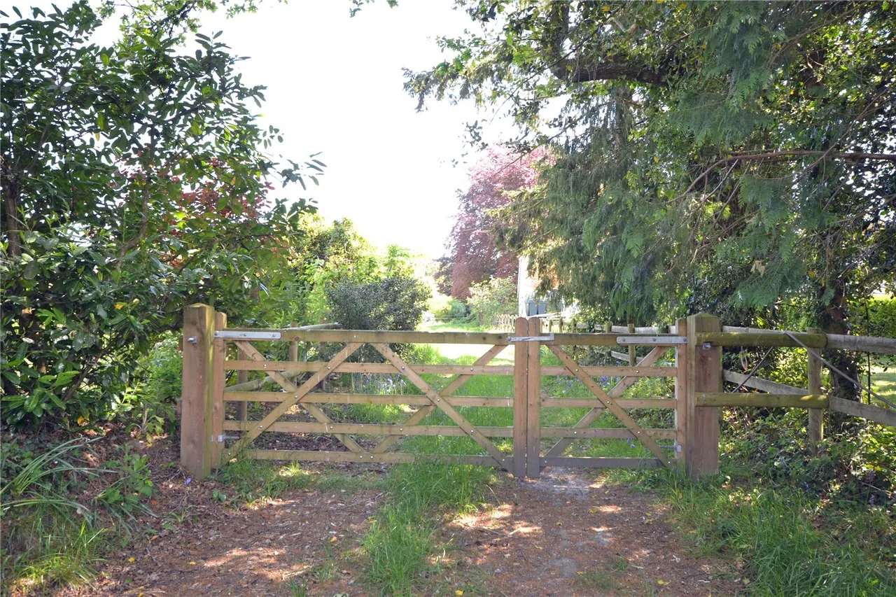 Withers Lane, East Boldre, Brockenhurst, Hampshire, SO42 7WX, photo 6
