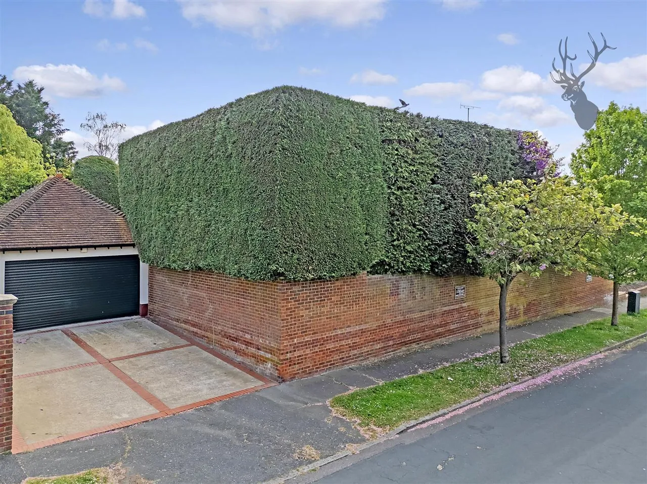 Courtland Drive, Chigwell, IG7, photo 30