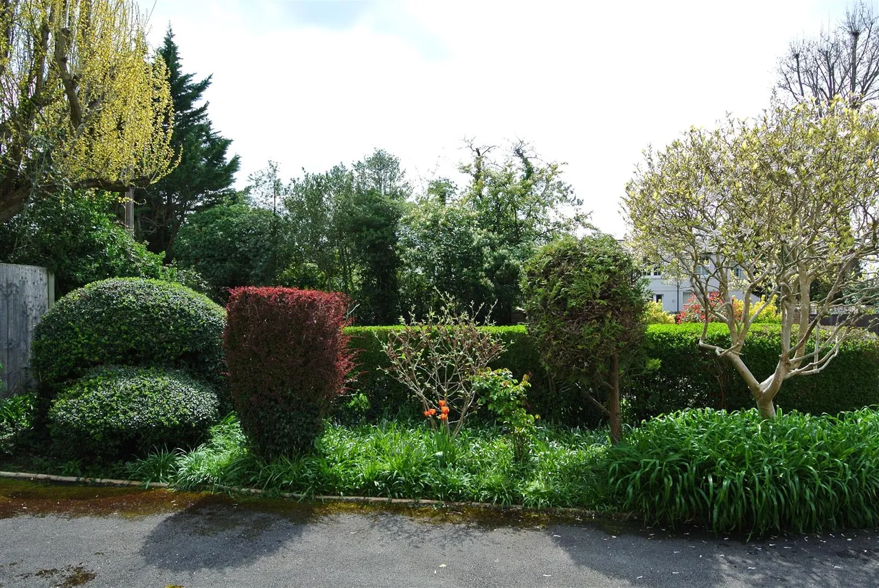 Barley Mow Road, Englefield Green, Surrey, TW20 0NT, photo 15