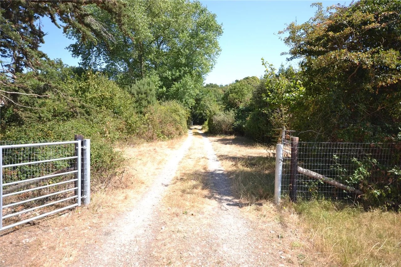 Land and Woodland Off Wainsford Road, Pennington, Lymington, Hampshire, SO41 8QT, photo 8