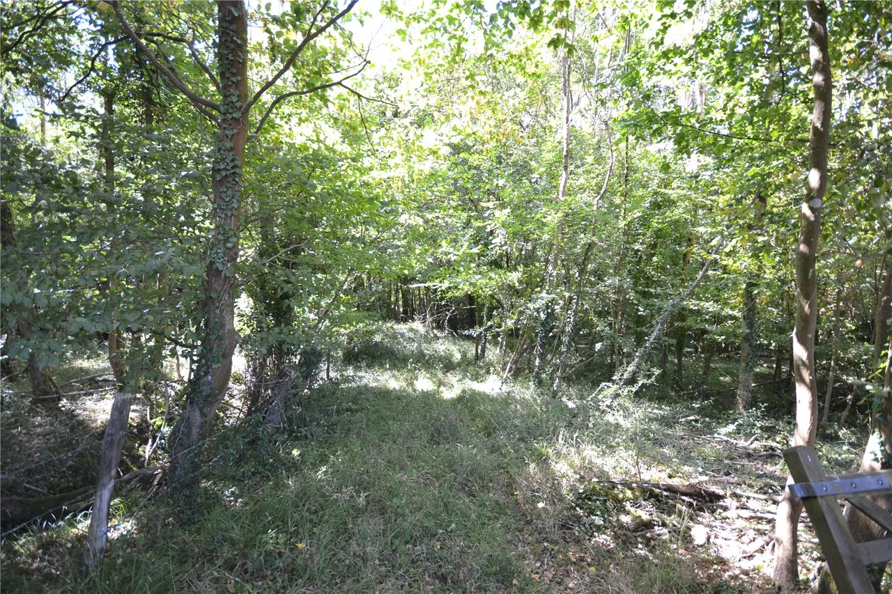 Land and Woodland Off Wainsford Road, Pennington, Lymington, Hampshire, SO41 8QT, photo 9