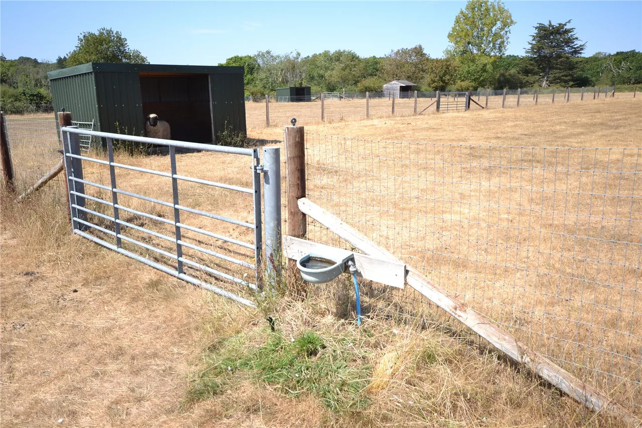 Land and Woodland Off Wainsford Road, Pennington, Lymington, Hampshire, SO41 8QT, photo 6