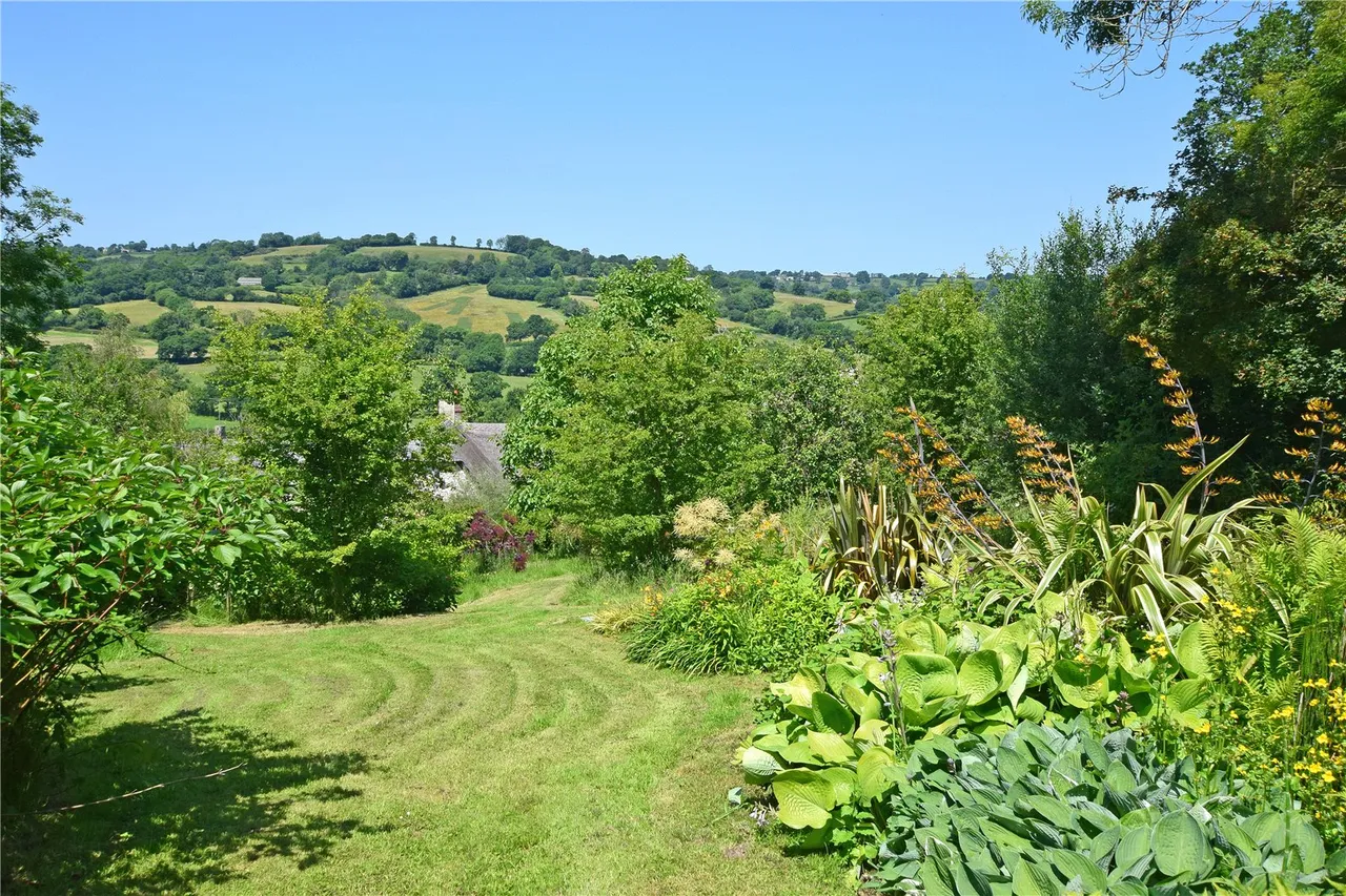 Wick, Honiton, Devon, EX14 4TY, photo 4