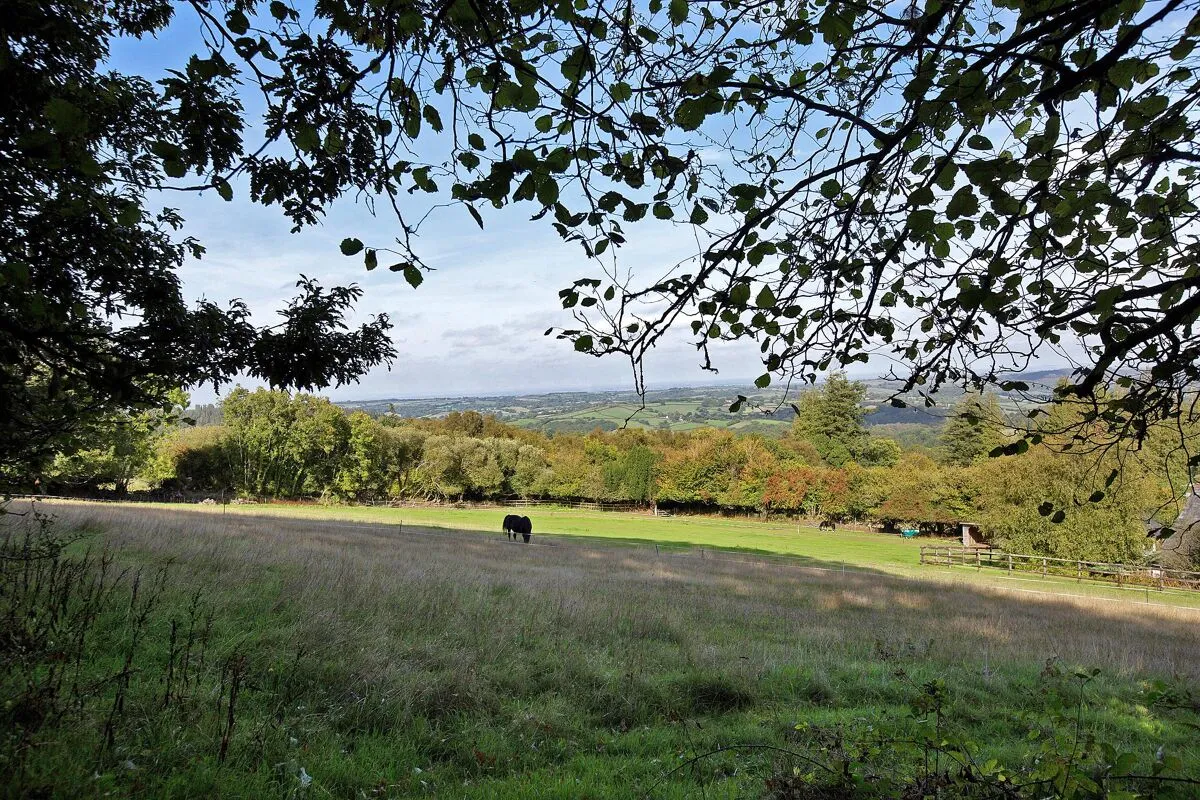 Chagford, Newton Abbot, TQ13, photo 23