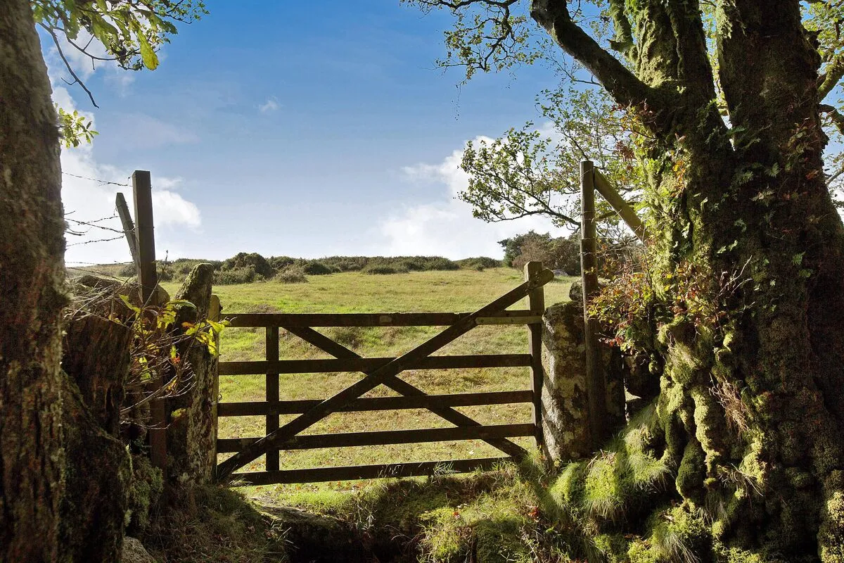 Chagford, Newton Abbot, TQ13, photo 25