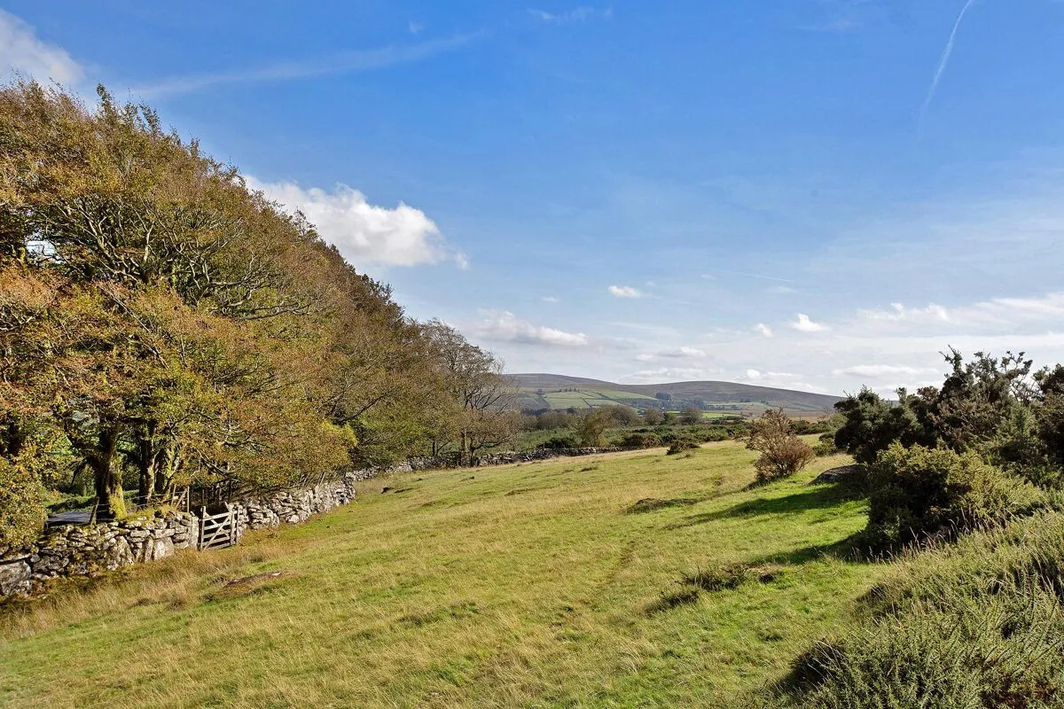 Chagford, Newton Abbot, TQ13, photo 26