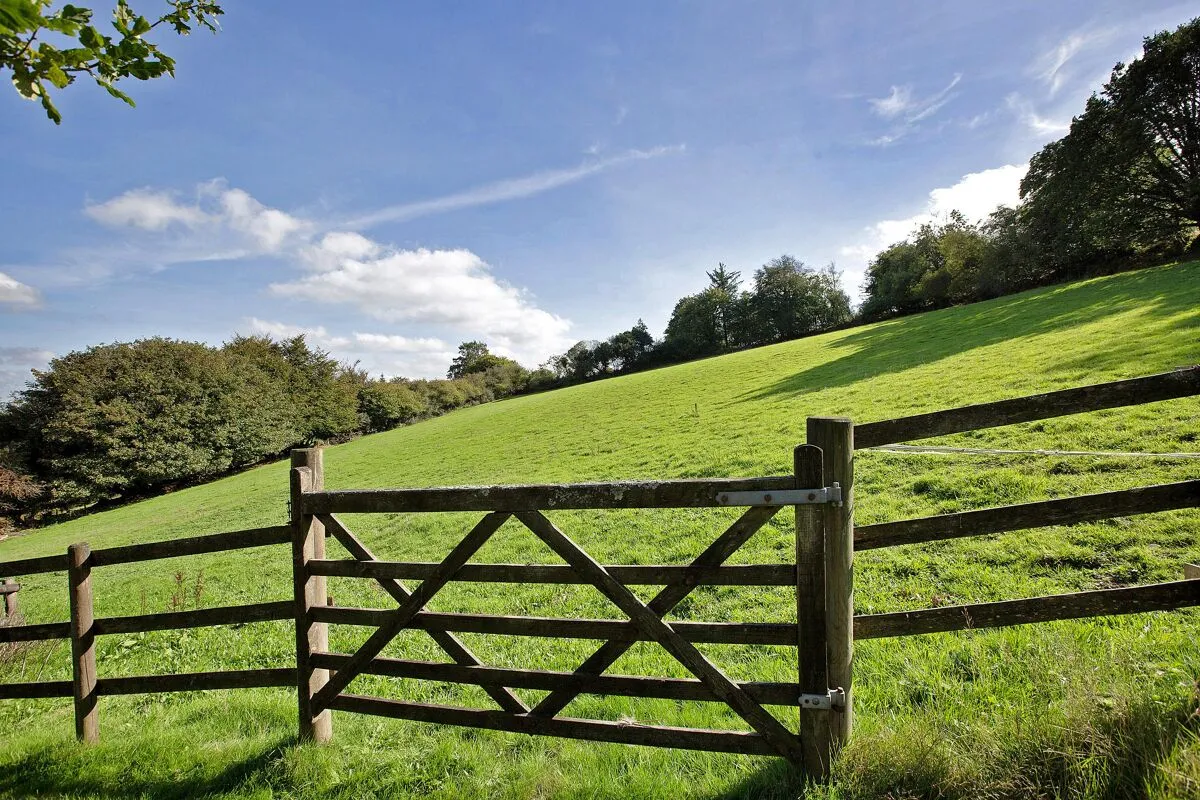 Chagford, Newton Abbot, TQ13, photo 22