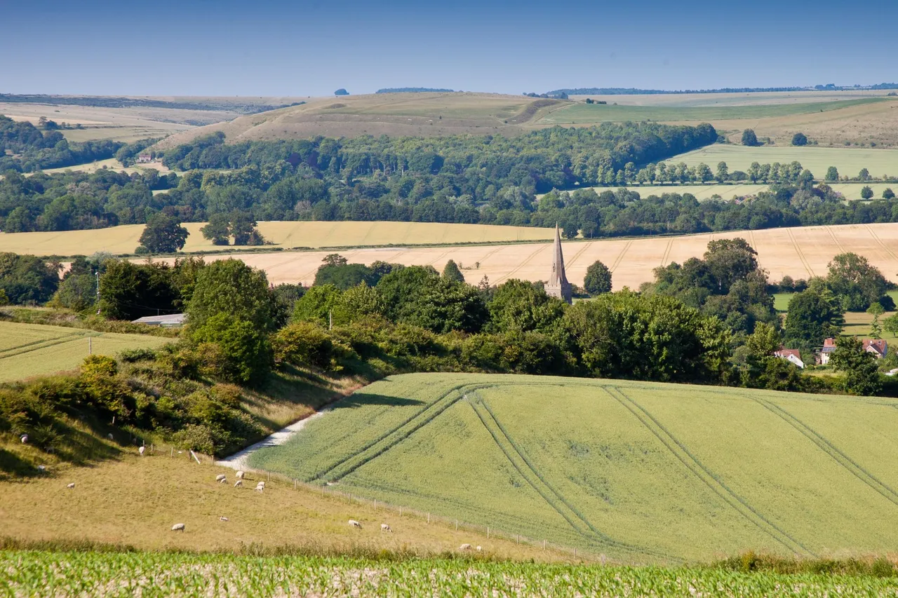 Sutton Parva, Tytherington, Warminster, Wiltshire, BA12 7AF, photo 23
