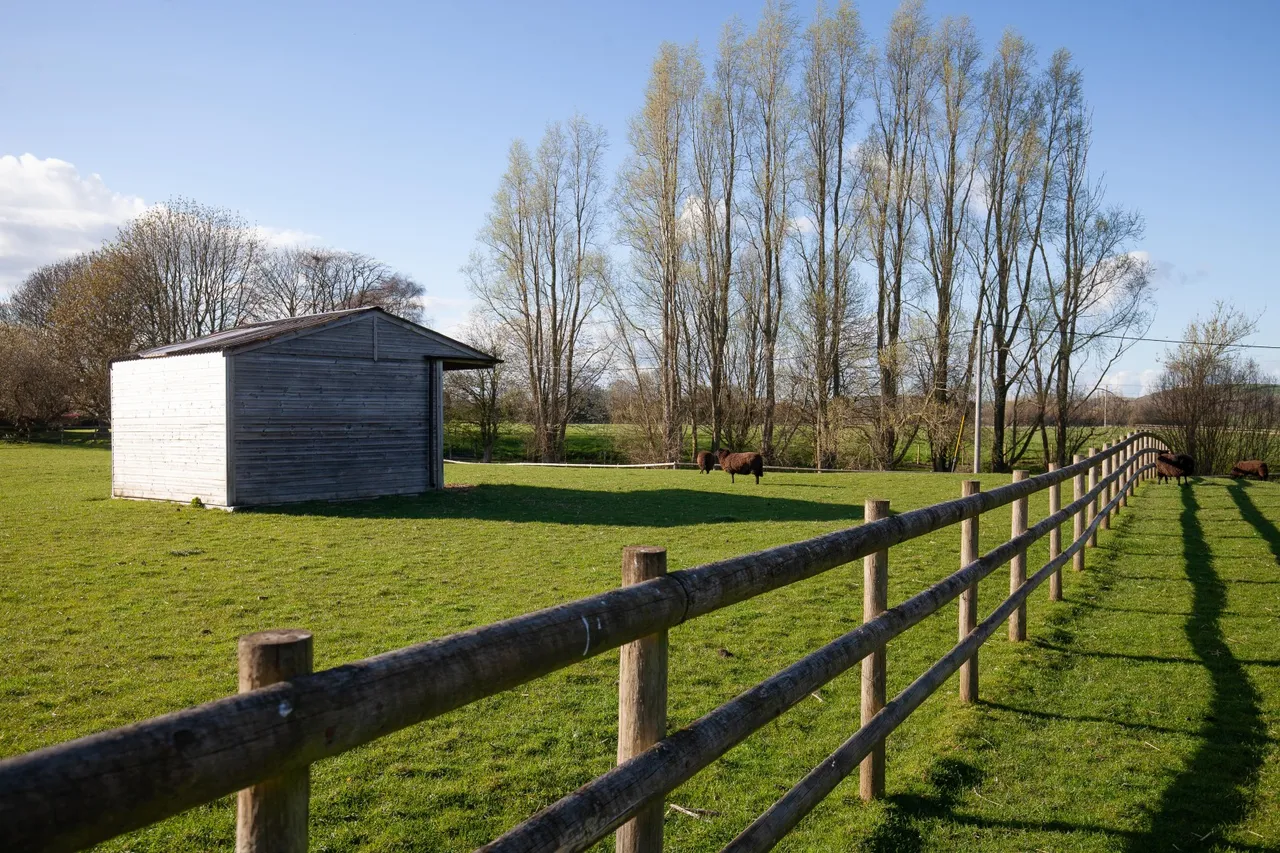 Sutton Parva, Tytherington, Warminster, Wiltshire, BA12 7AF, photo 17
