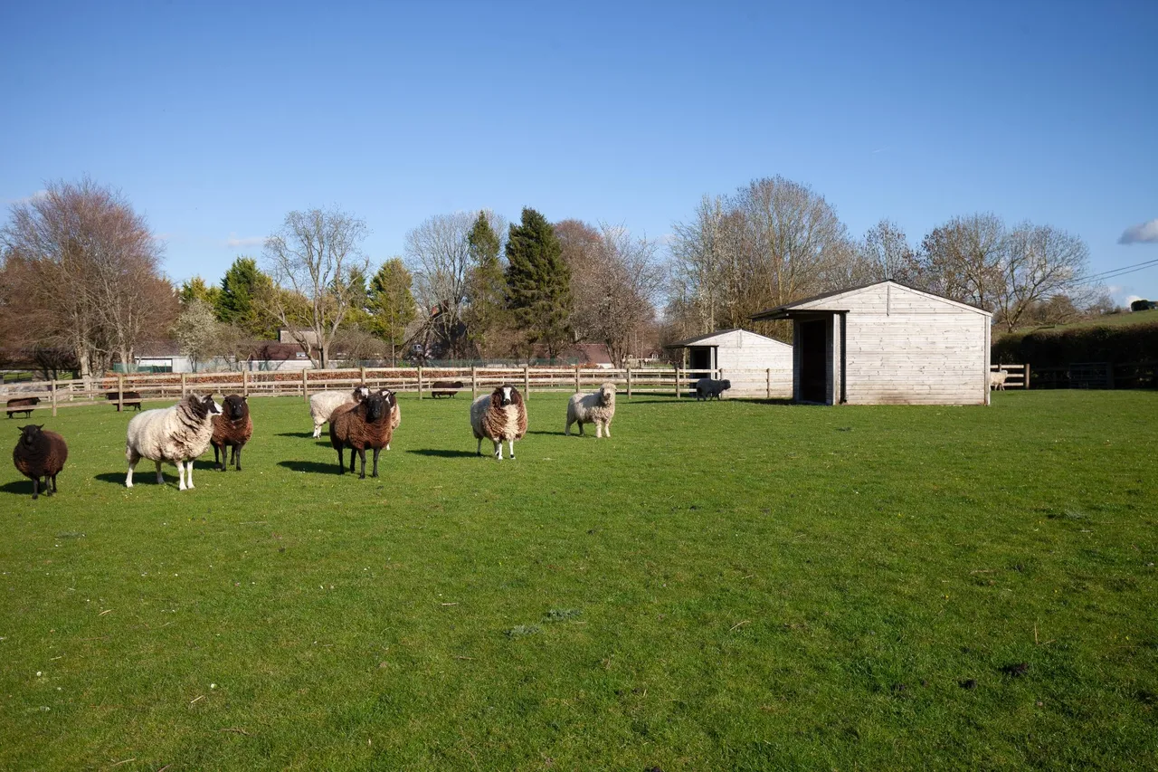 Sutton Parva, Tytherington, Warminster, Wiltshire, BA12 7AF, photo 18