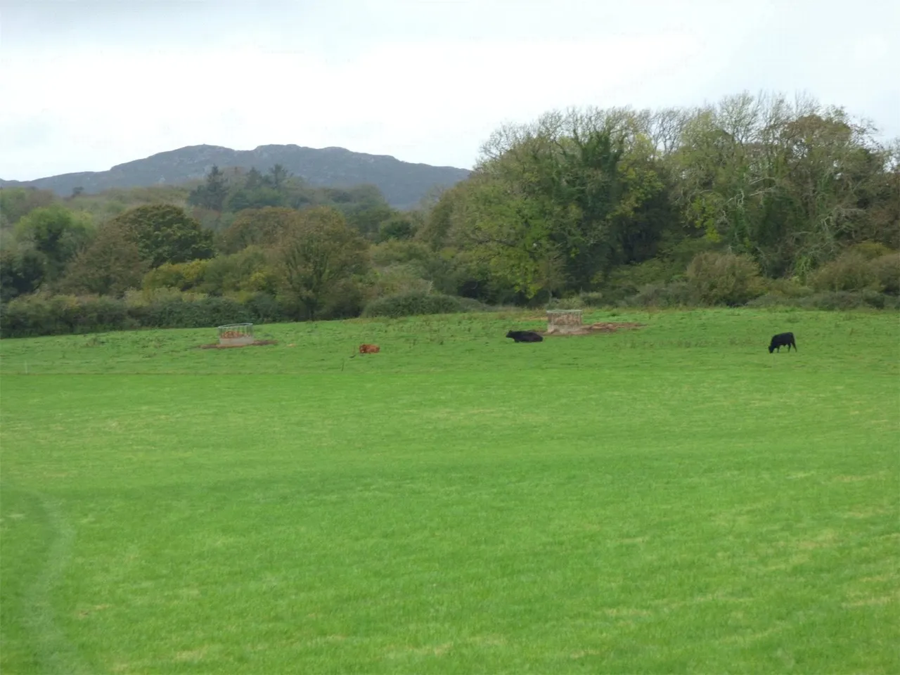 Llanallgo, Moelfre, LL72, photo 15