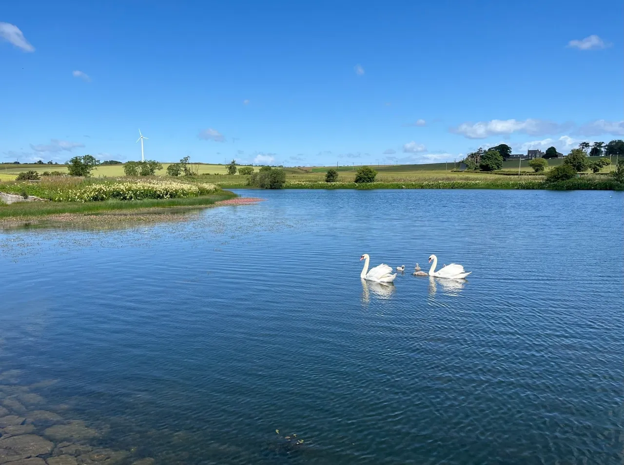 land for sale — Gillingshill Reservoir & Nature Reserve, Arncroach, Anstruther, Fife, KY10 2RX