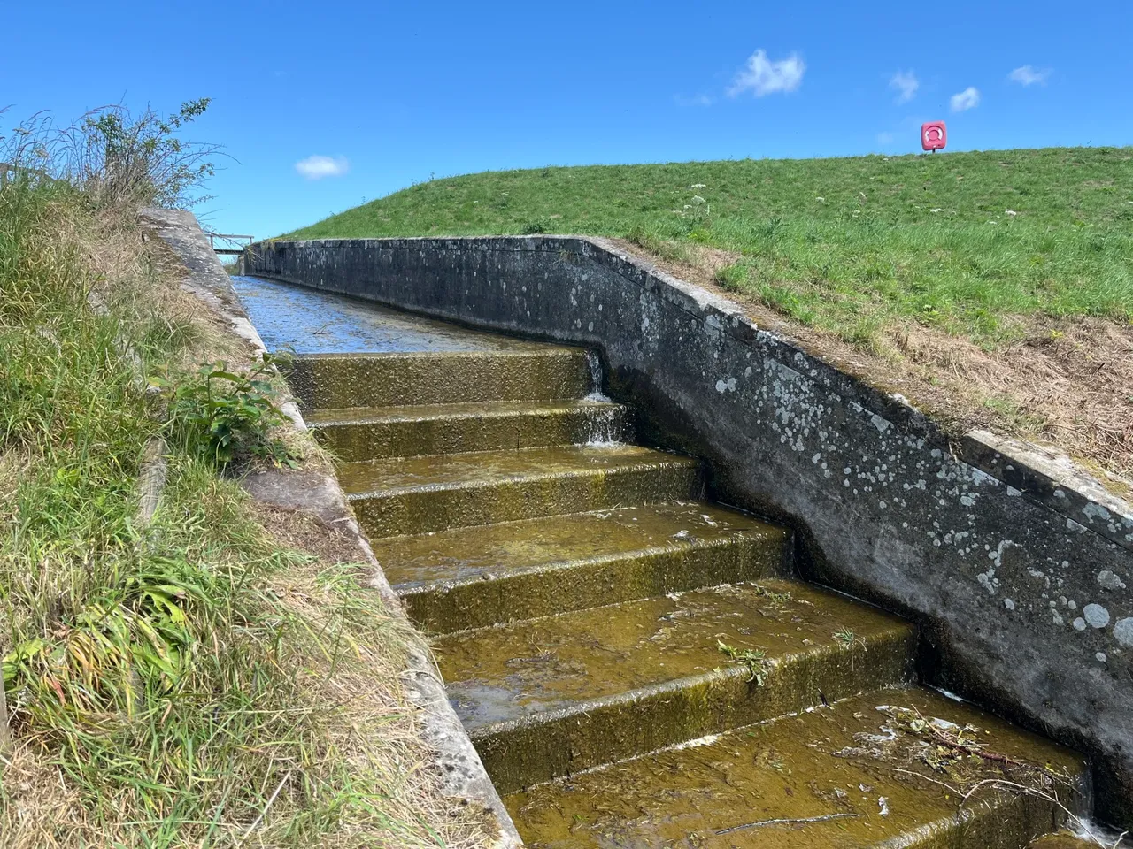 Gillingshill Reservoir & Nature Reserve, Arncroach, Anstruther, Fife, KY10 2RX, photo 14