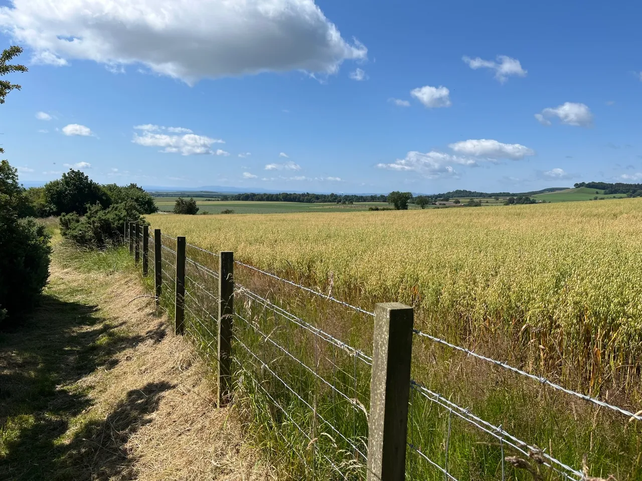 Gillingshill Reservoir & Nature Reserve, Arncroach, Anstruther, Fife, KY10 2RX, photo 13