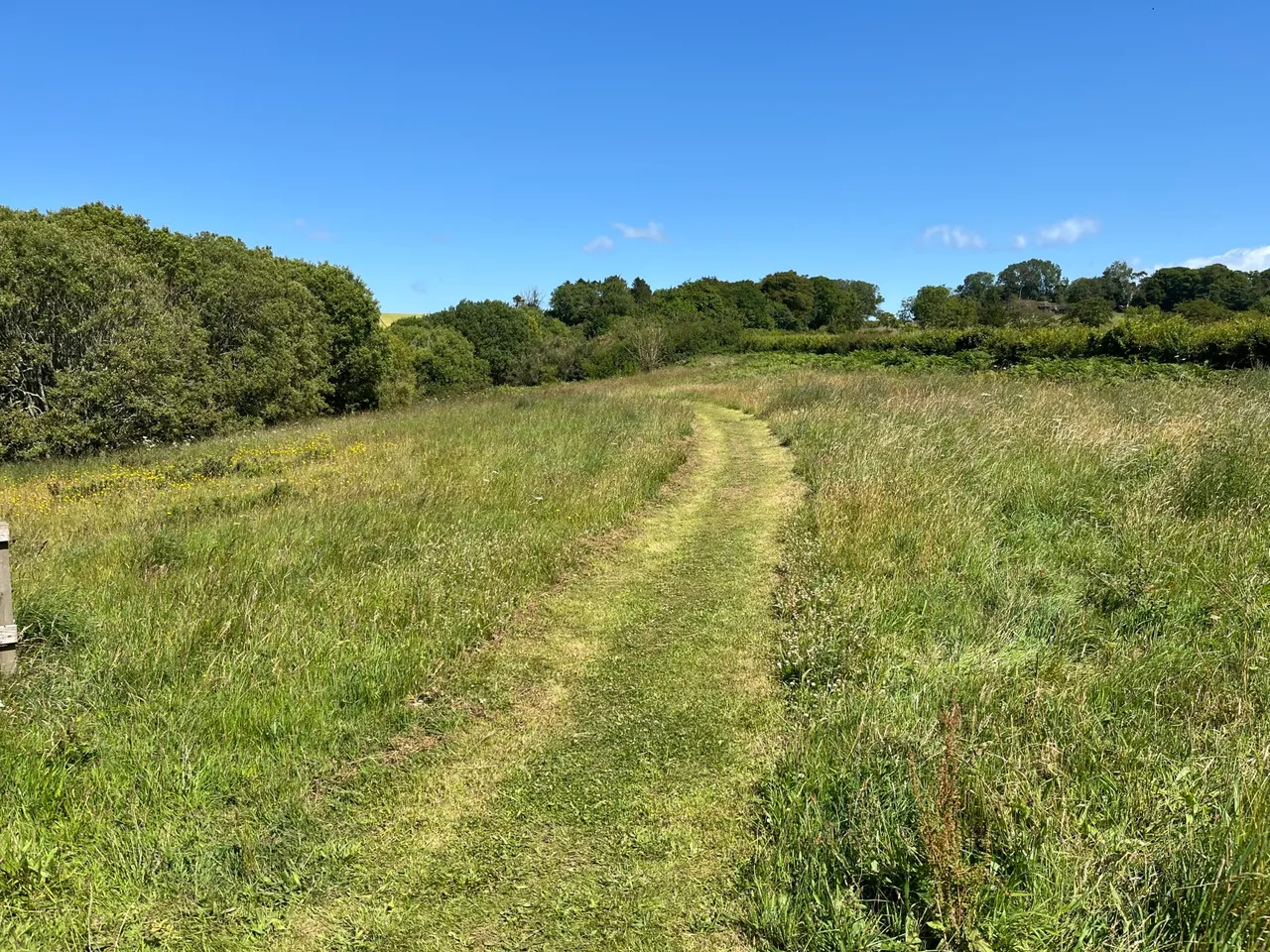 Gillingshill Reservoir & Nature Reserve, Arncroach, Anstruther, Fife, KY10 2RX, photo 6