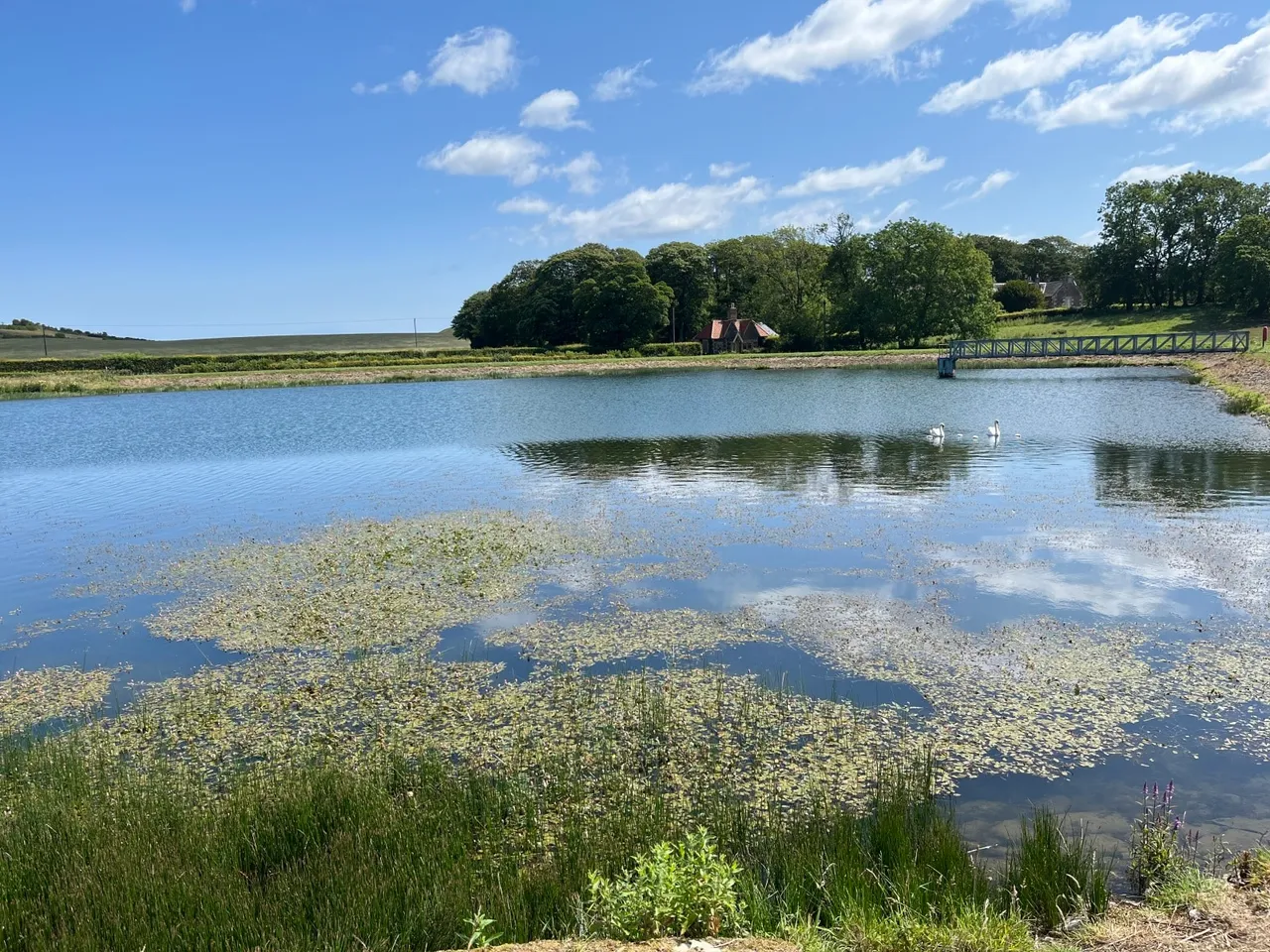 Gillingshill Reservoir & Nature Reserve, Arncroach, Anstruther, Fife, KY10 2RX, photo 17