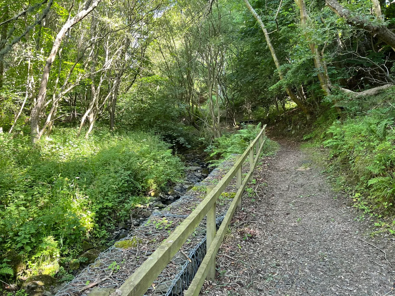 Gillingshill Reservoir & Nature Reserve, Arncroach, Anstruther, Fife, KY10 2RX, photo 11