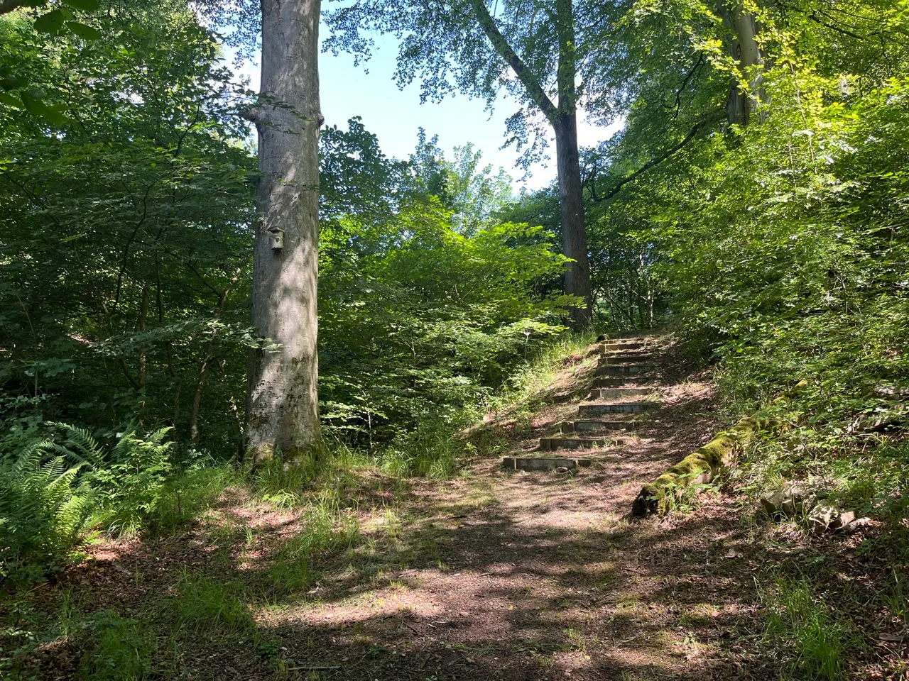 Gillingshill Reservoir & Nature Reserve, Arncroach, Anstruther, Fife, KY10 2RX, photo 10