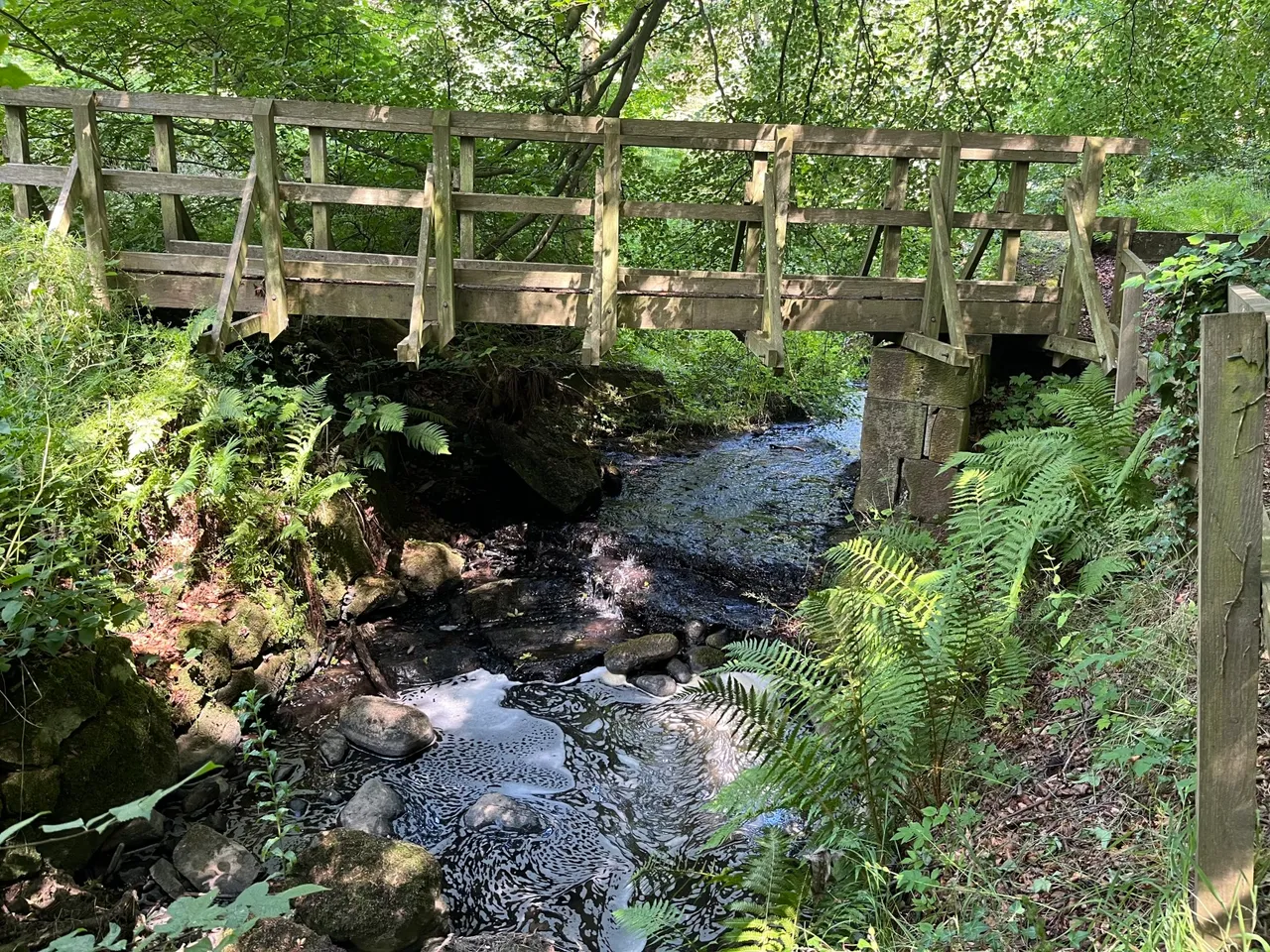 Gillingshill Reservoir & Nature Reserve, Arncroach, Anstruther, Fife, KY10 2RX, photo 9