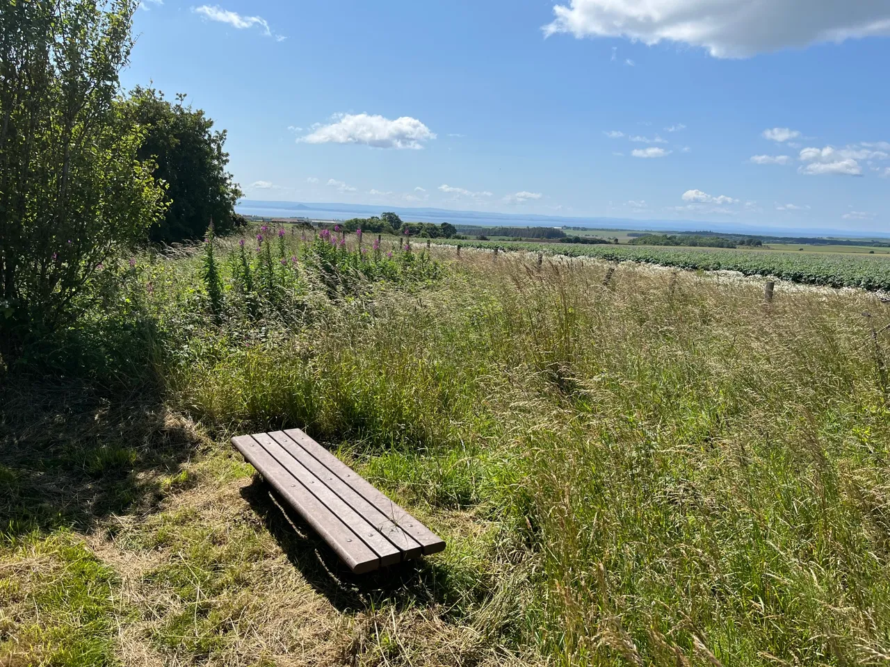 Gillingshill Reservoir & Nature Reserve, Arncroach, Anstruther, Fife, KY10 2RX, photo 7
