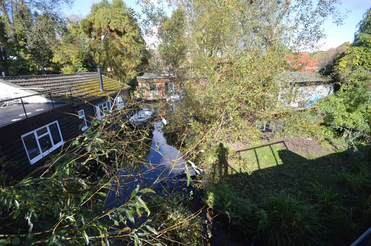 Taggs Island, Hampton, TW12, photo 19