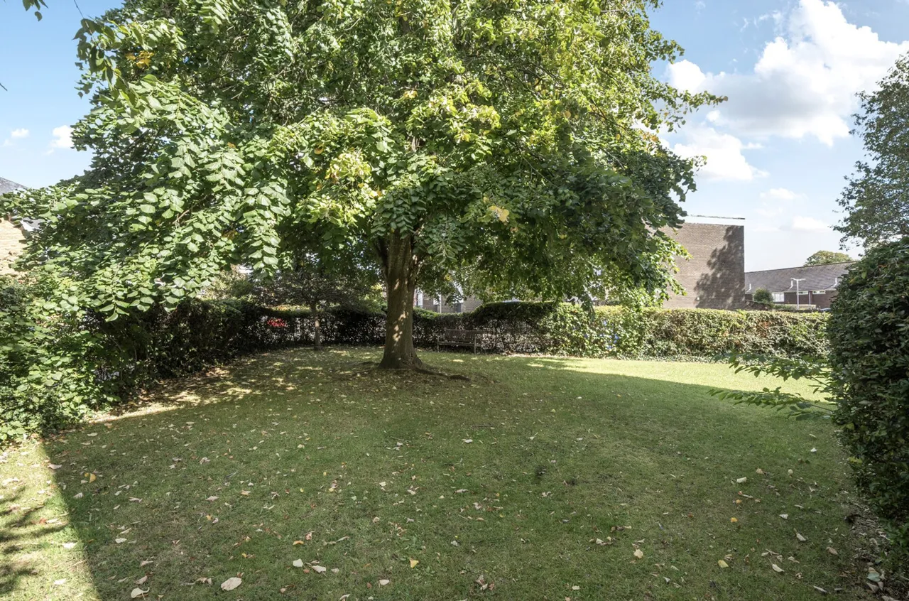 Somerstown, Paulus Court Somerstown, PO19, photo 10