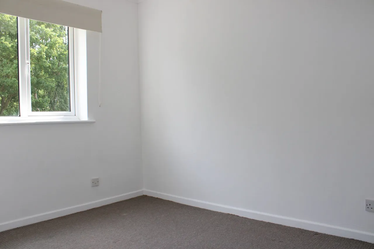 Jasmine Close, Trimley St Martin, Felixstowe, Suffolk, IP11 0UY, photo 10