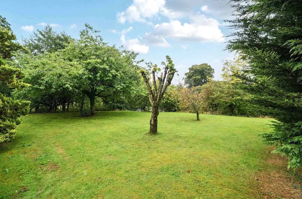 Newbridge-on-Wye, Llandrindod Wells, Powys, LD1 6LY, photo 16