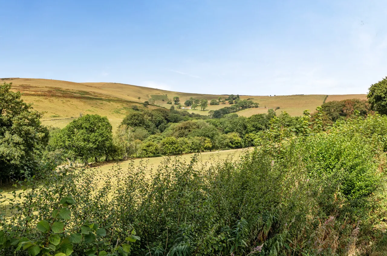 Bontgoch, Talybont, photo 10