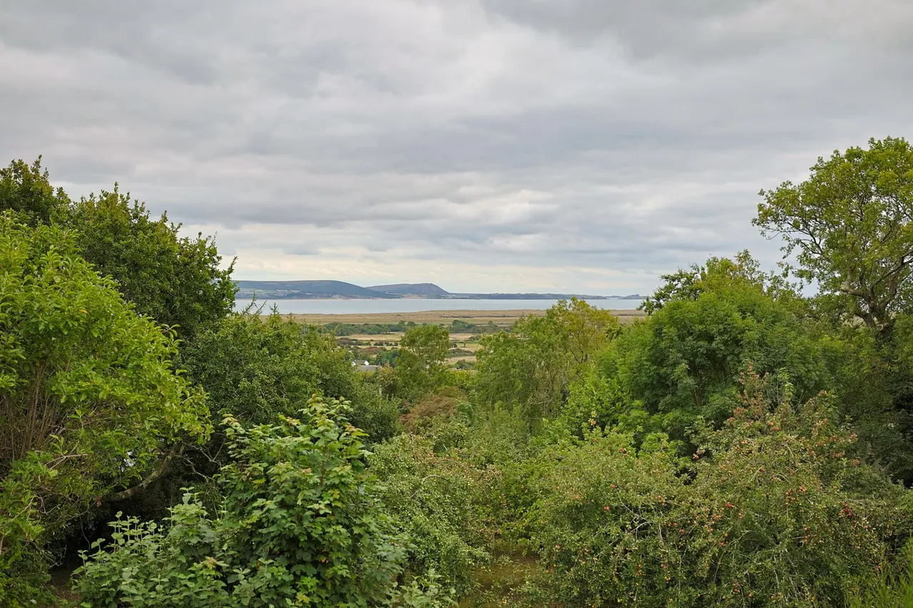 Ar Y Bryn, Pembrey, photo 4