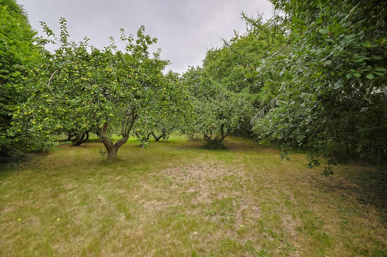 Ar Y Bryn, Pembrey, photo 20