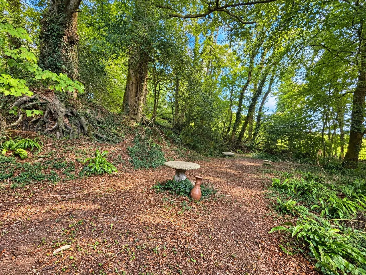 Hellandbridge, Bodmin, PL30, photo 34