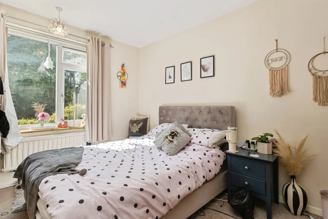 North Park Avenue, Norwich, photo 11