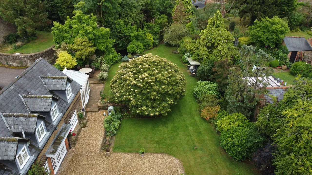 Oakham Lane, Staverton, Daventry, NN11, photo 50