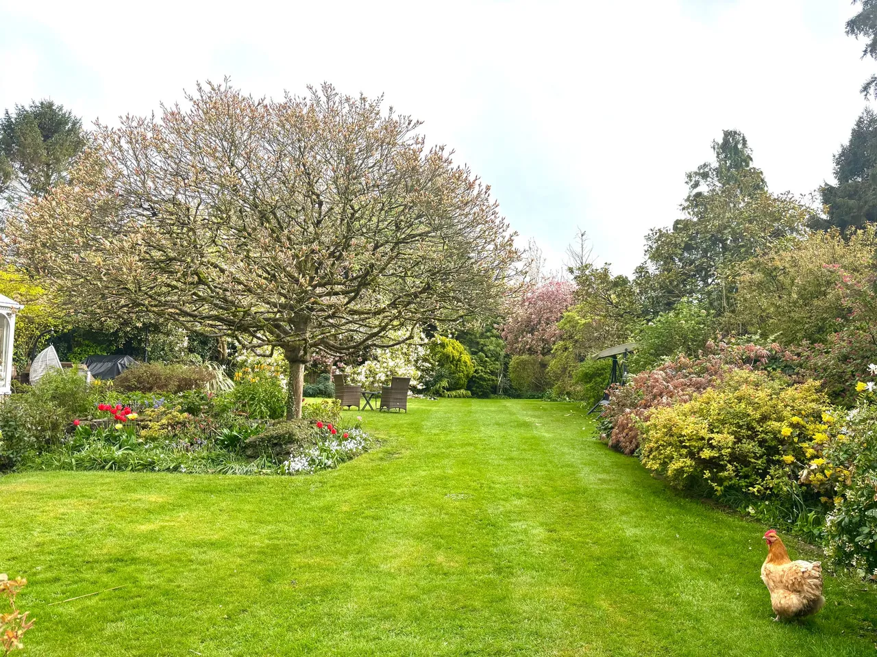 Oakham Lane, Staverton, Daventry, NN11, photo 80