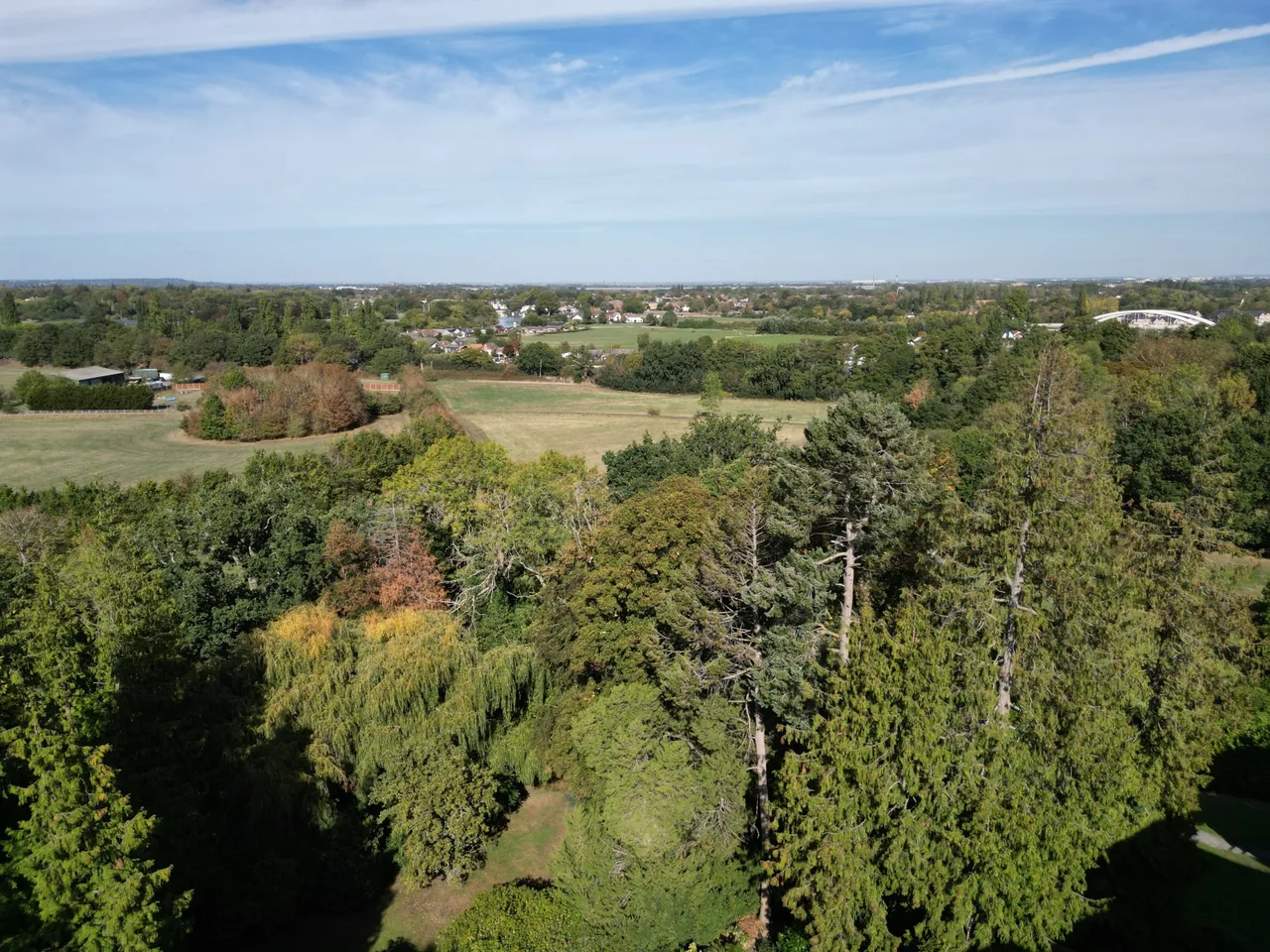 Oatlands Drive, Weybridge, KT13, photo 12