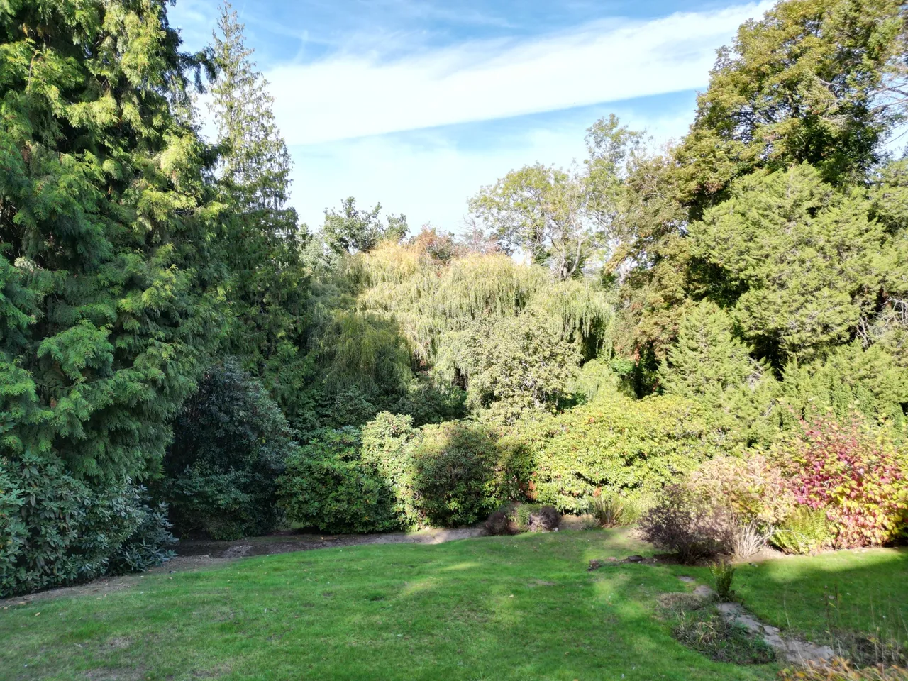 Oatlands Drive, Weybridge, KT13, photo 9