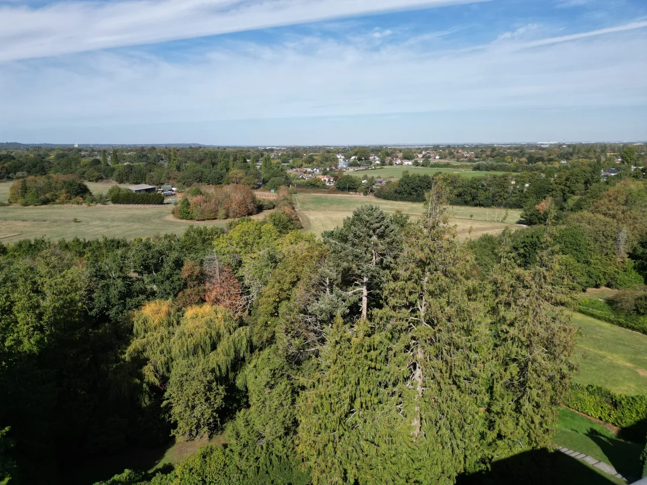 Oatlands Drive, Weybridge, KT13, photo 15