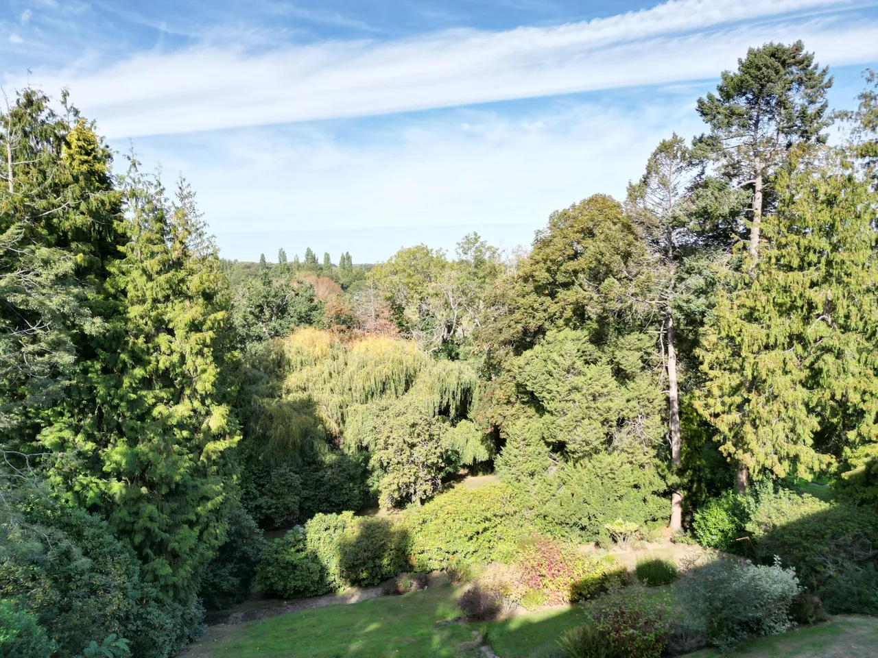 Oatlands Drive, Weybridge, KT13, photo 16
