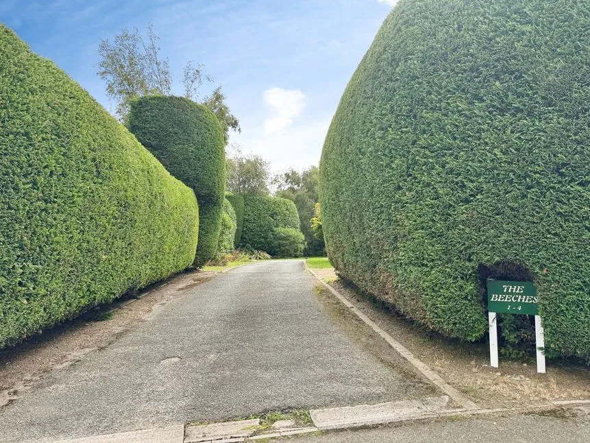 The Beeches, St. Leonards-on-Sea, East Sussex, TN37, photo 9