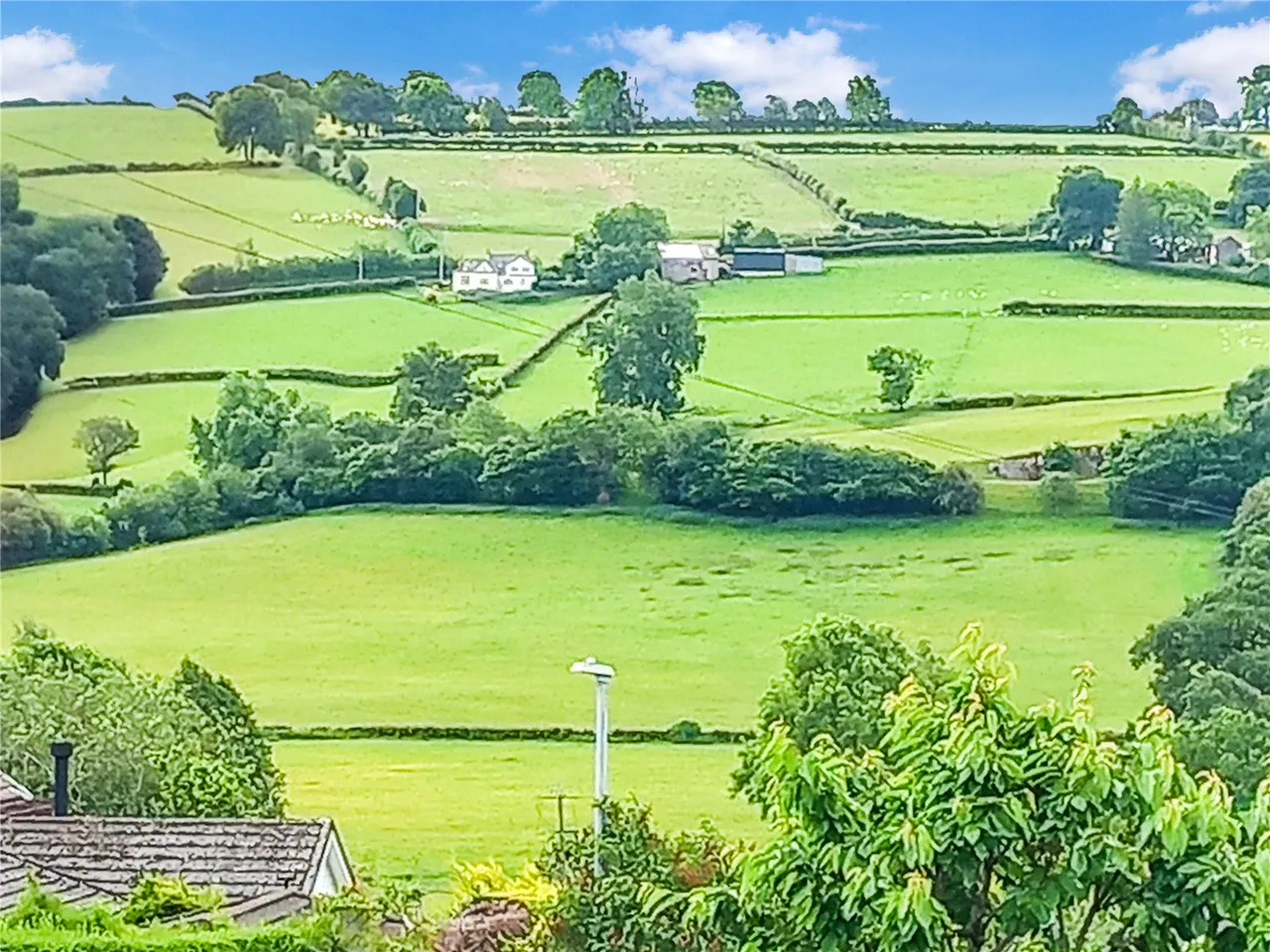 Y Fan, Llanidloes, photo 13
