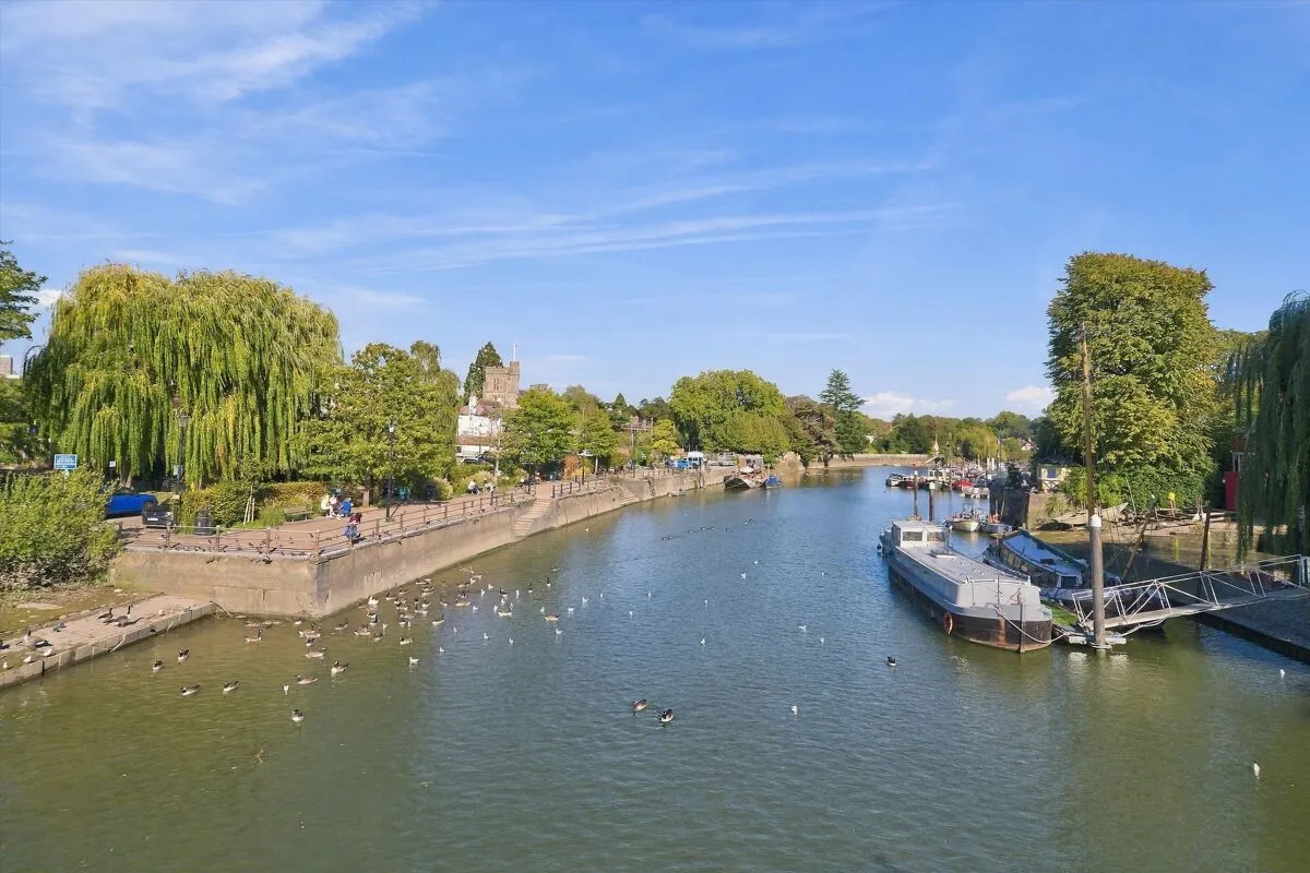 Aquarius, Eel Pie Island, TW1, photo 14