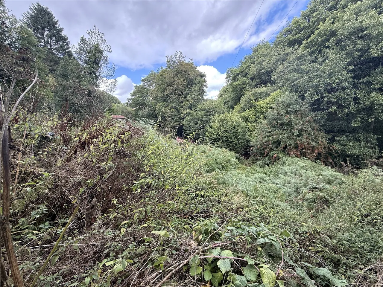 Rushock, Kington, Herefordshire,, HR5 3SB, photo 45