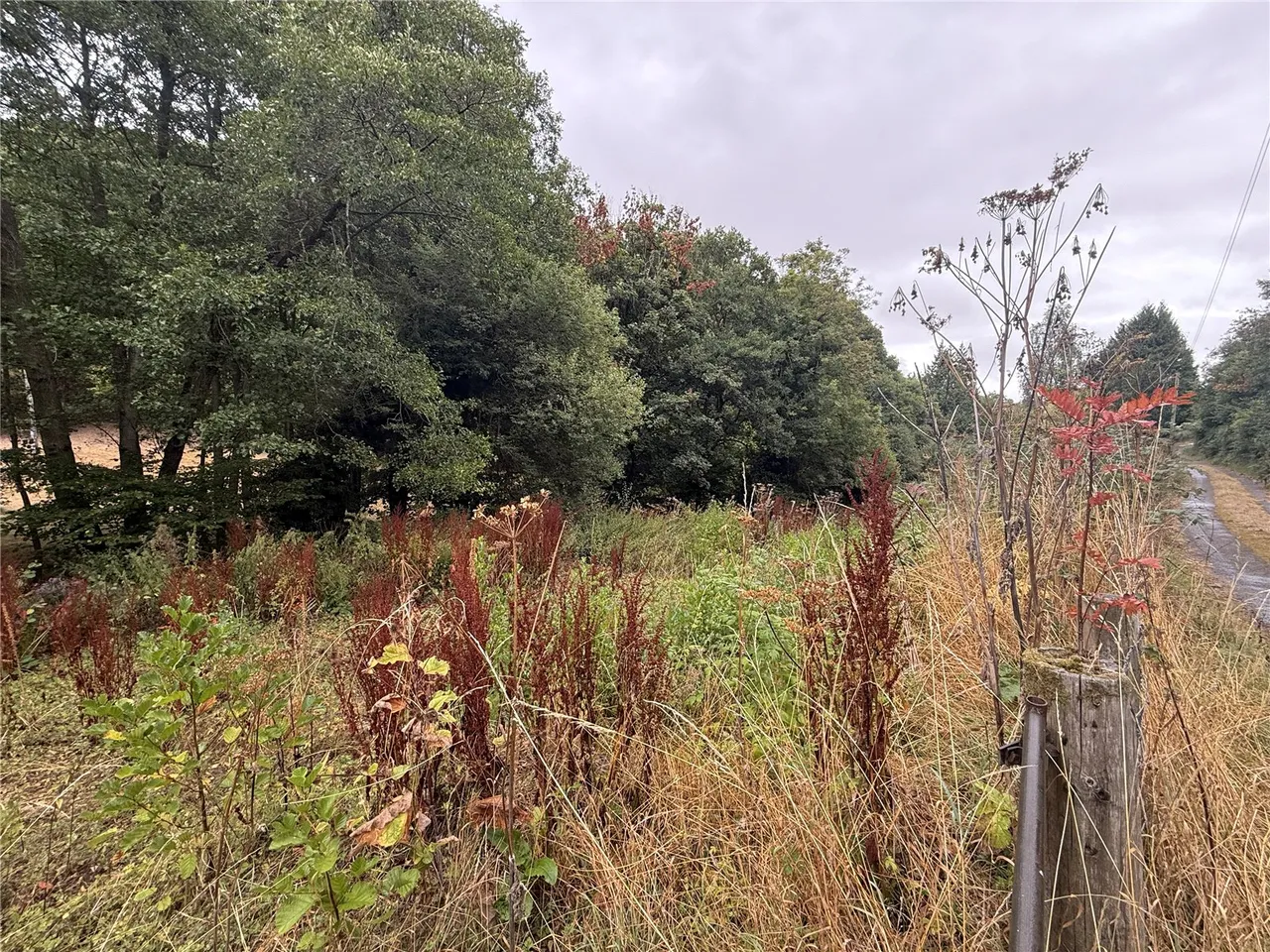 Rushock, Kington, Herefordshire,, HR5 3SB, photo 44