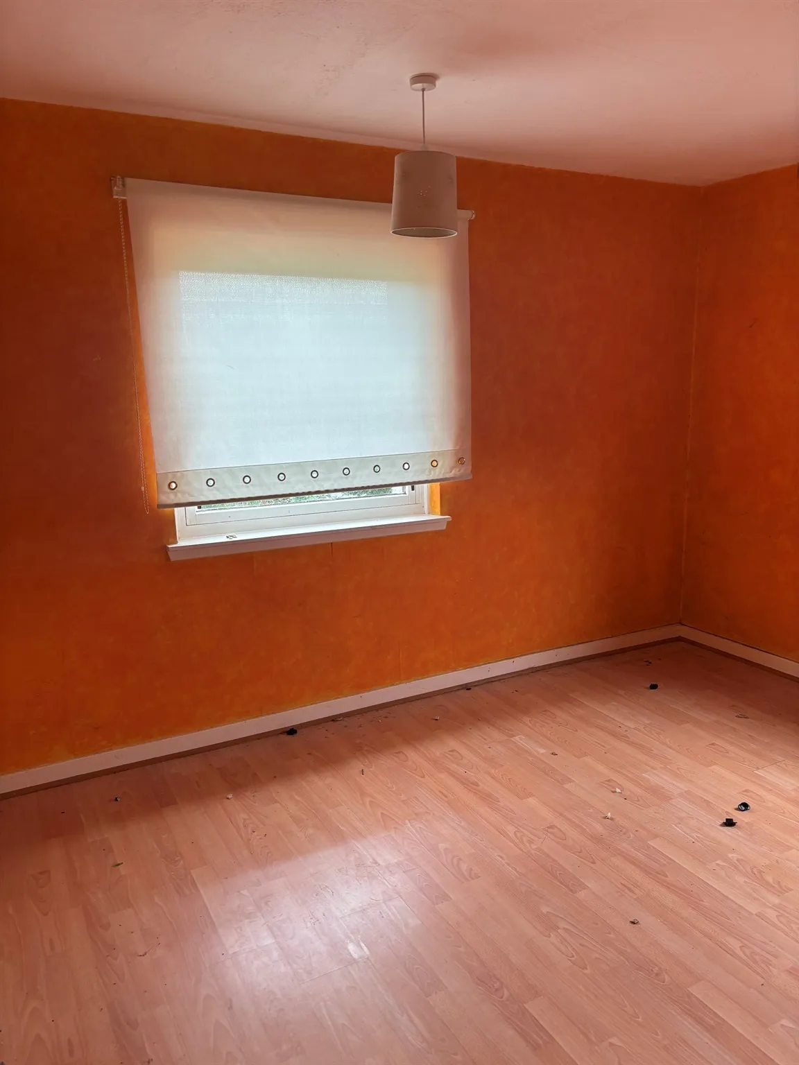 Dougrie Road, Glasgow, G45, photo 9