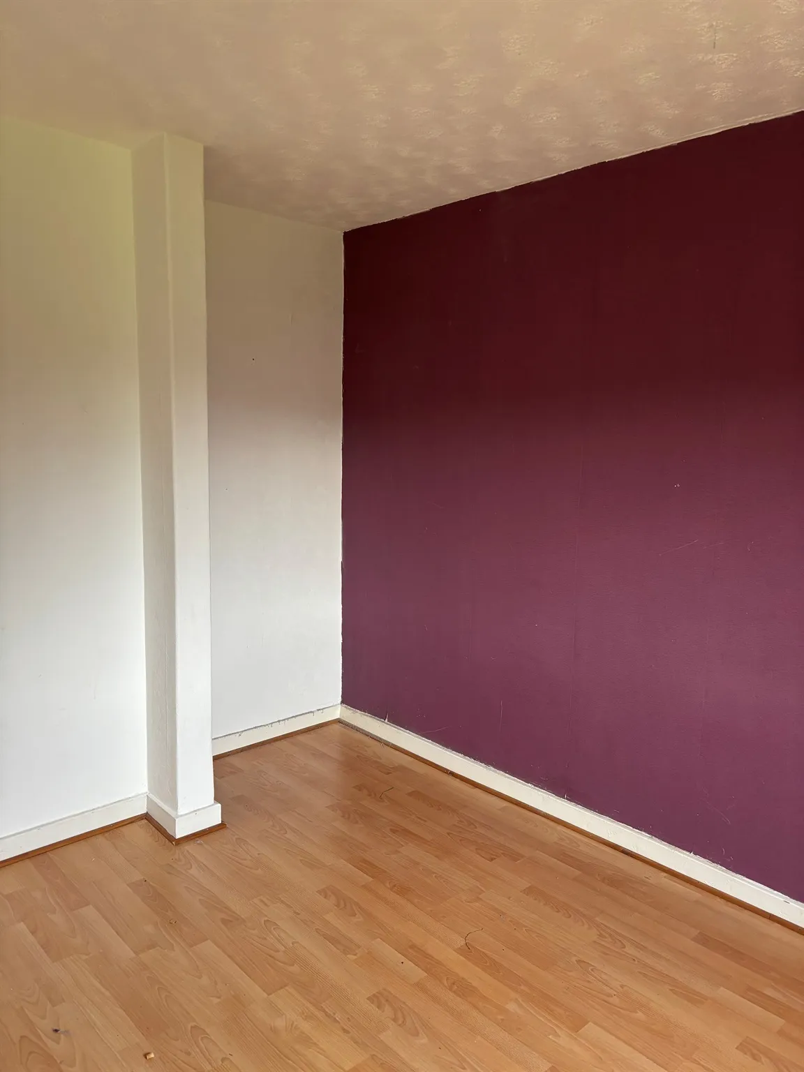 Dougrie Road, Glasgow, G45, photo 7