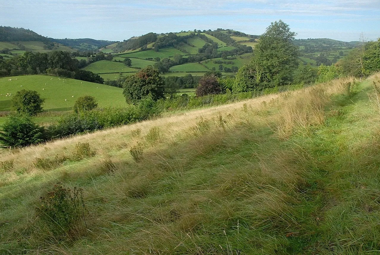 Llanfyllin, Powys, photo 37