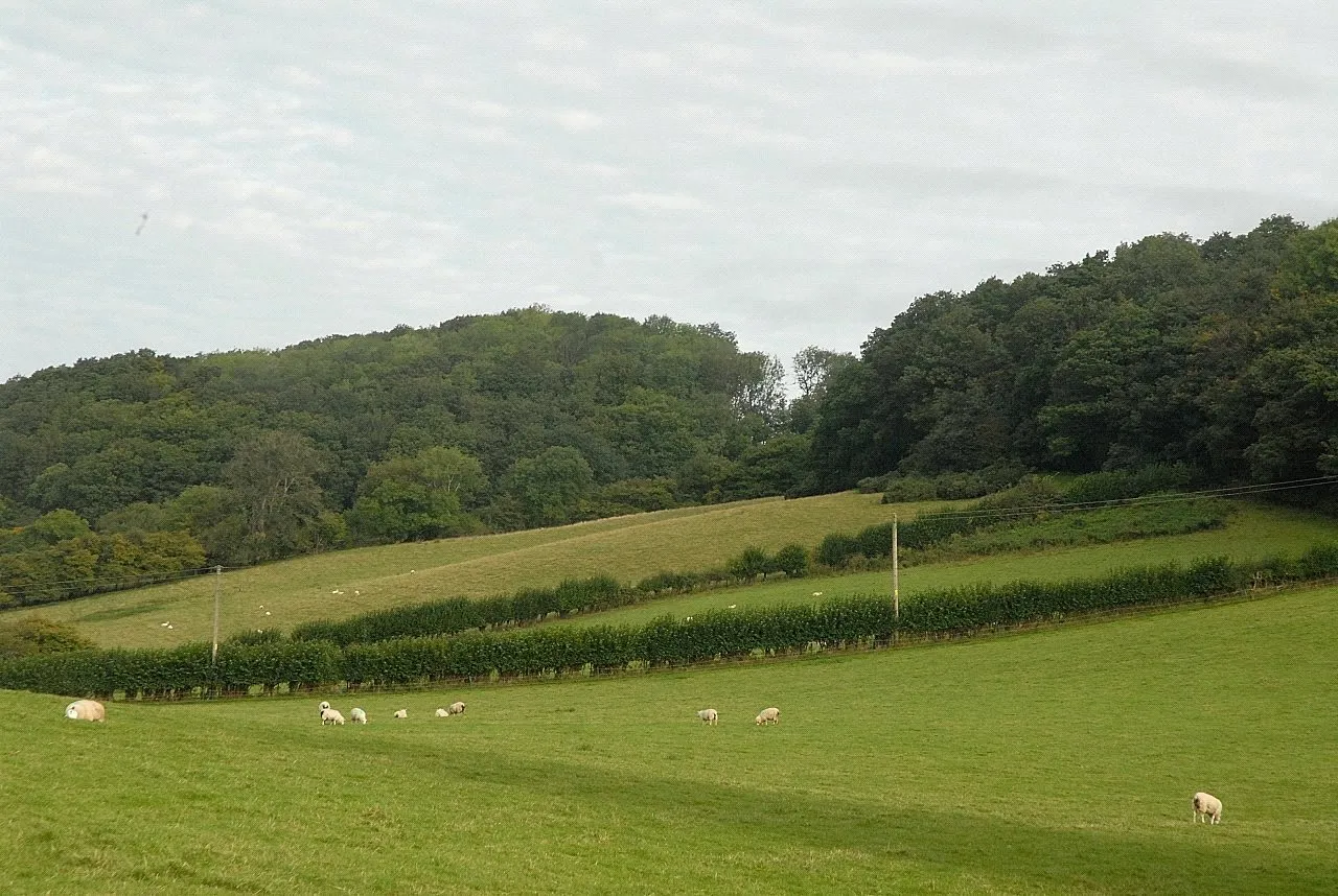 Llanfyllin, Powys, photo 31
