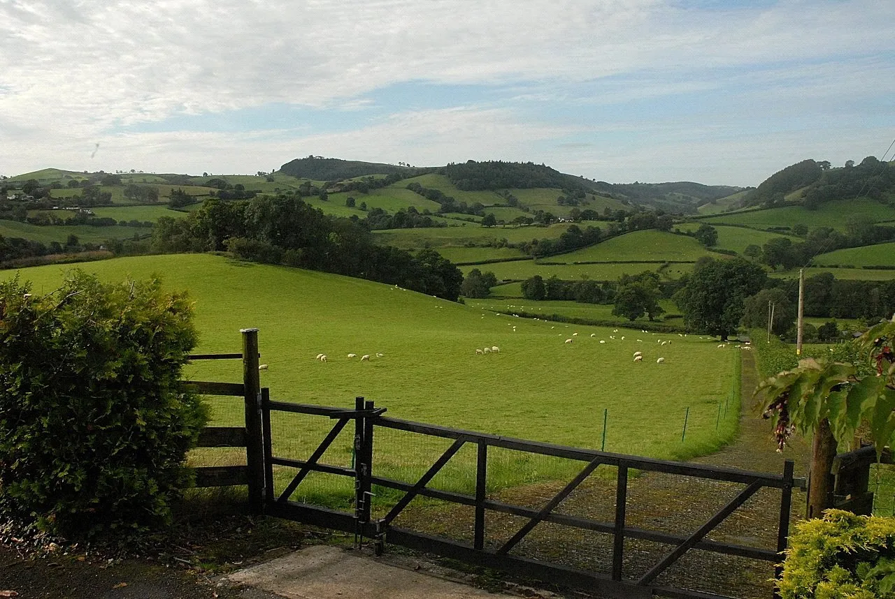 Llanfyllin, Powys, photo 30